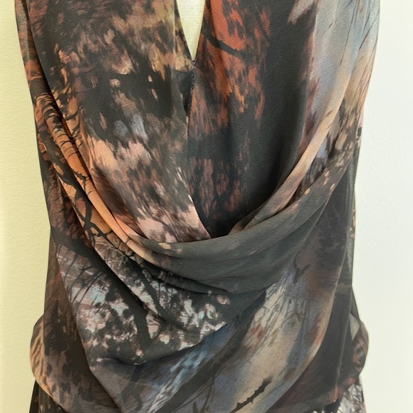 One of Kind Gorgeous Scenic Dress - Picture 5 of 8